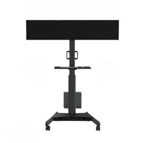 Dual screen mobile mount trolley tv stand for display